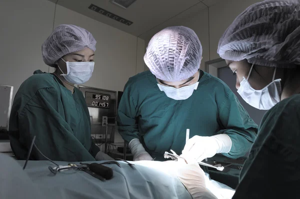 Groupe de chirurgie vétérinaire en salle d'opération — Photo