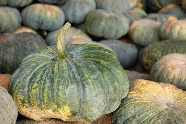 Hög med pumpa på marknaden — Stockfoto