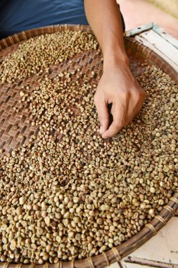 Arka plan için kahve çekirdekleri