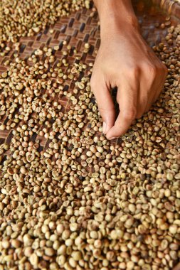 Arka plan için kahve çekirdekleri