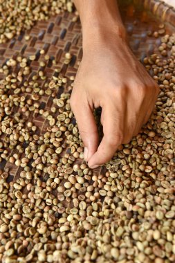 Arka plan için kahve çekirdekleri