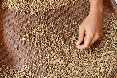 Arka plan için kahve çekirdekleri