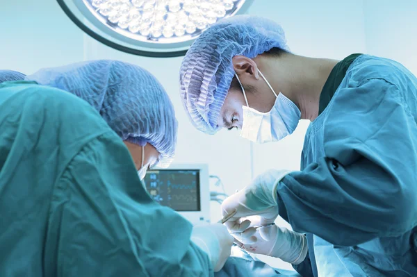 Dois cirurgiões veterinários na sala de operações — Fotografia de Stock