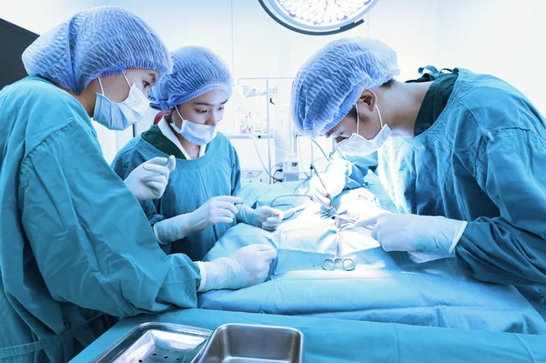 Groep van dierenarts chirurgie in operatie kamer — Stockfoto