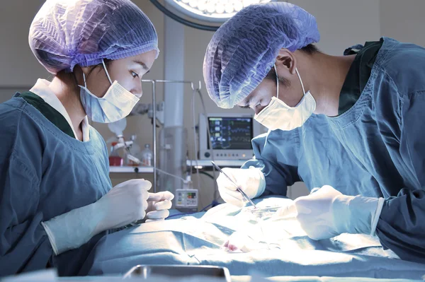 Dois cirurgiões veterinários na sala de operações — Fotografia de Stock