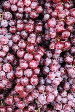 kırmızı üzüm yakın çekim