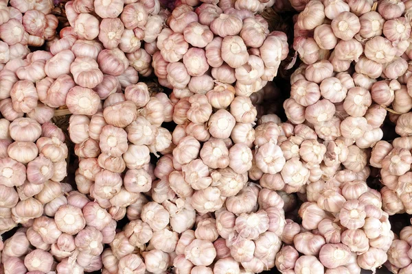 Garlics no mercado da Tailândia — Fotografia de Stock