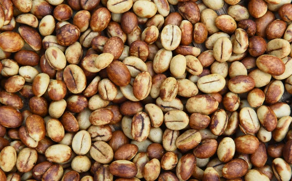 Coffee beans for backgrounds — Stock Photo, Image