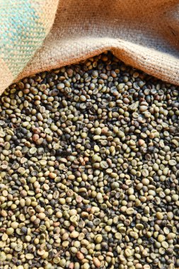 yeşil fasulye kahve çekirdekleri