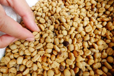 Arka plan için kahve çekirdekleri