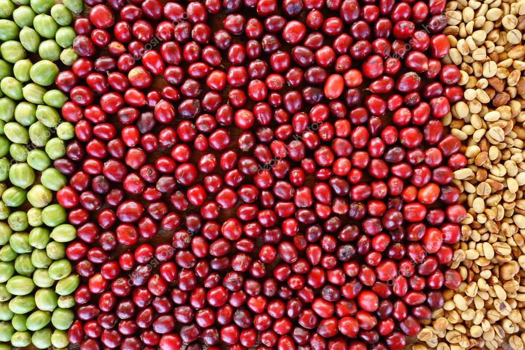 fresh coffee beans