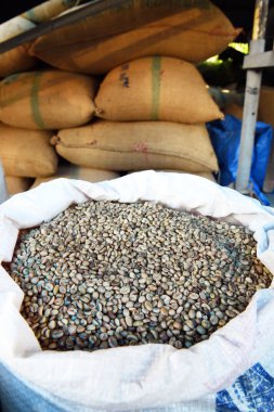 yeşil fasulye kahve çekirdekleri