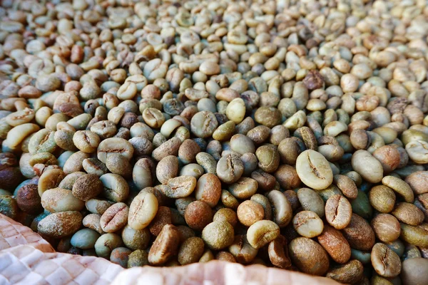 green bean coffee beans