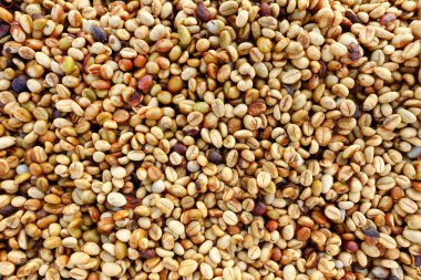 Arka plan için kahve çekirdekleri