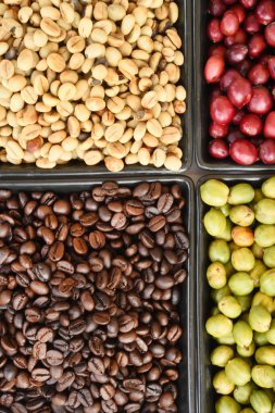 yeşil, kavrulmuş ve taze kahve çekirdekleri