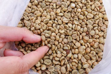 Arka plan için kahve çekirdekleri