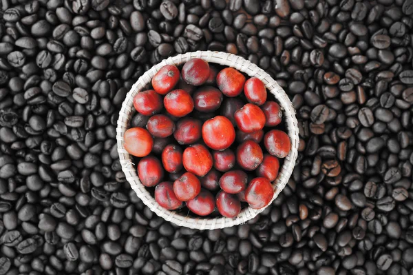 Café rojo maduro en granos de café backgournd — Foto de Stock
