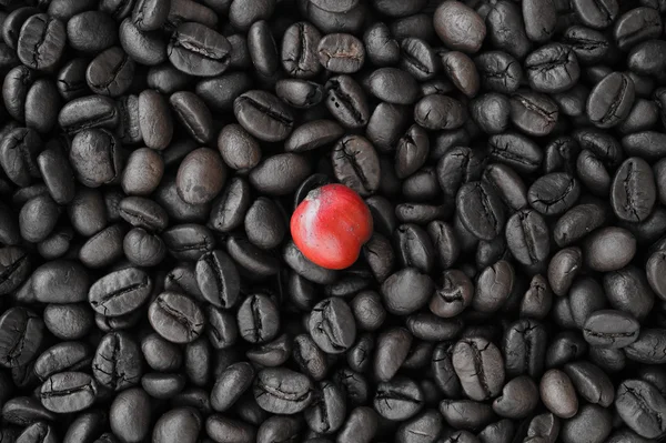 Café rojo maduro en granos de café backgournd — Foto de Stock
