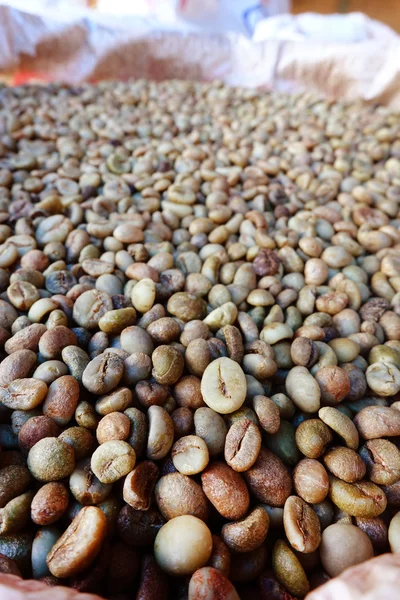 Judías verdes granos de café —  Fotos de Stock