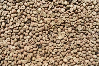 Arka plan için kahve çekirdekleri