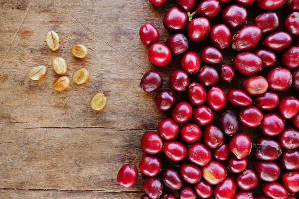 Primer plano de granos de café frescos — Foto de Stock