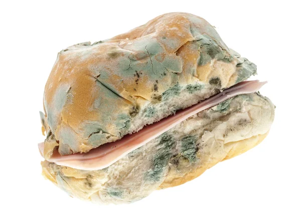 Küflü eski jambon rulo