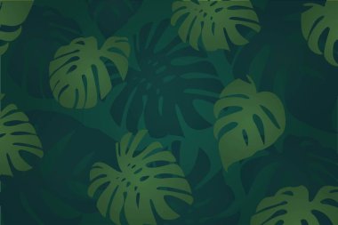 Arkaplan Canavarı lezzetli yaprakları. Yeşil