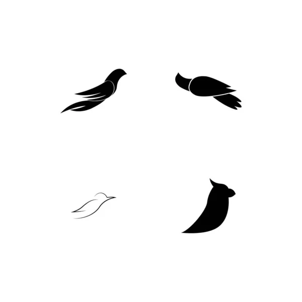 Illustration Vectorielle Modèle Logo Oiseau — Image vectorielle