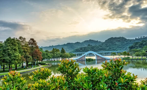 타이 페이, 대만에서 Dahu 공원 — 스톡 사진