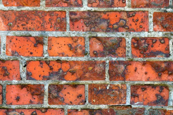 Hintergrund Der Roten Alten Mauer Für Design — Stockfoto