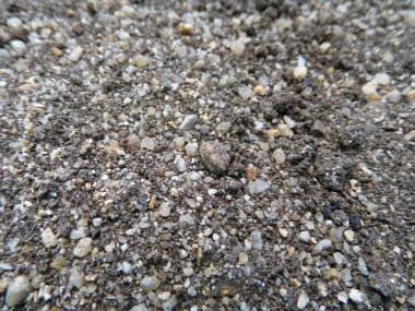 Gübre toprak arka plan