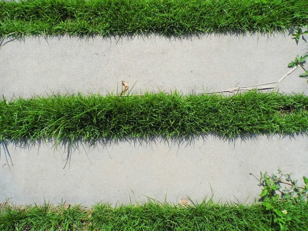 Passo a passo com vidro verde — Fotografia de Stock