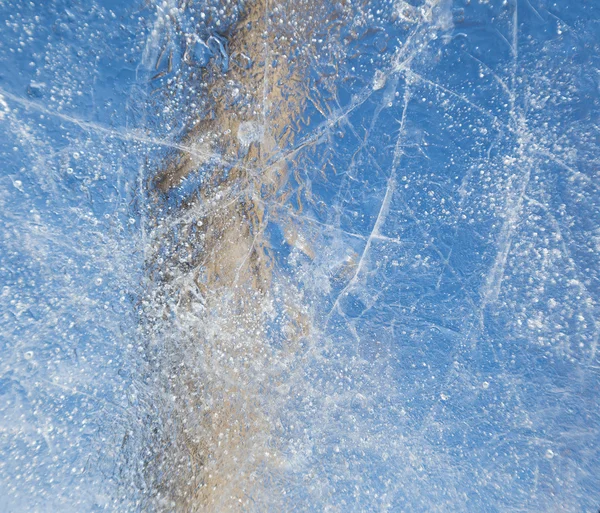 Transparent piece of ice — Stock Photo, Image