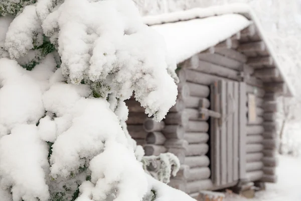 Snötäckt gran gren på en bakgrund av stugan. — Stockfoto