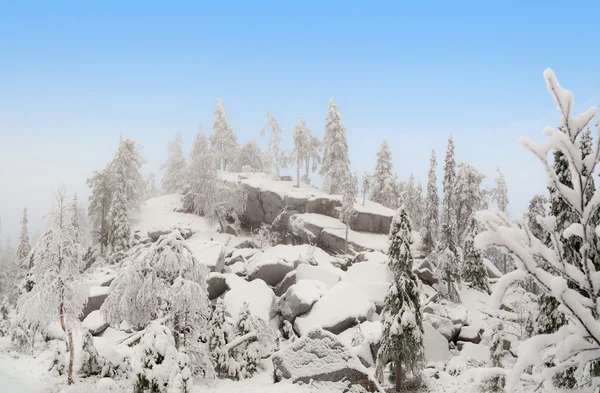 Rock ridge in winter forest. — Stockfoto