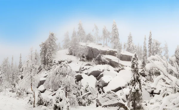 Wolke auf den zerstörten Felsen im Winterwald. — Stockfoto