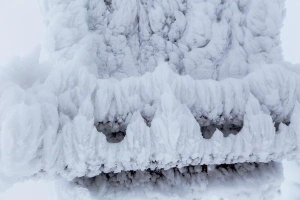 Kar taç — Stok fotoğraf