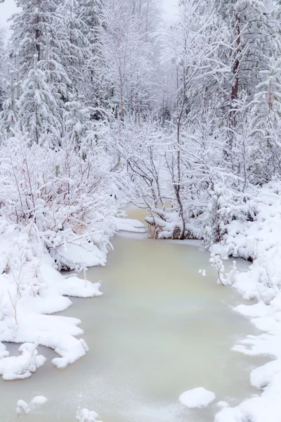 Bevroren stream. — Stockfoto