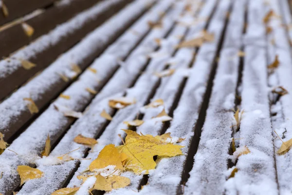 Lönnlöv och snö på bänken — Stockfoto