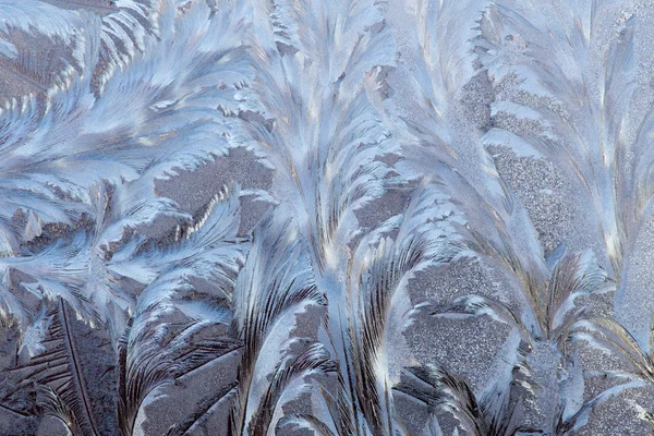 Frost am Fenster — Stockfoto