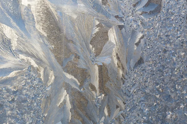 Schneeglöckchen. — Stockfoto