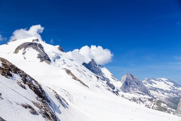 Grand Motte glacier in summer. — Stock Photo, Image