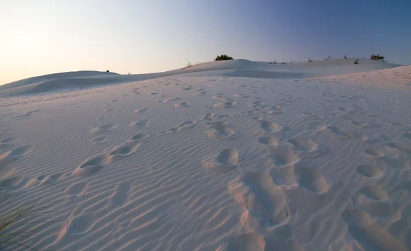 Dune i skymningen — Stockfoto