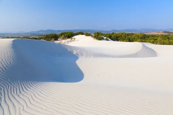 Dune of white sand — ストック写真