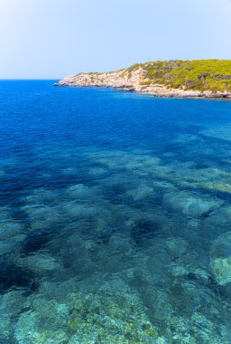 temiz su ve kayalık sahil