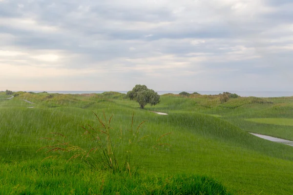 Regn på golfbanan — Stockfoto