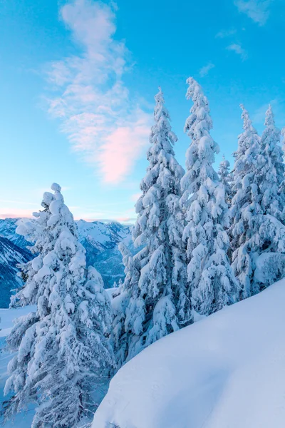 Gebirgslandschaft im Morgengrauen. — Stockfoto