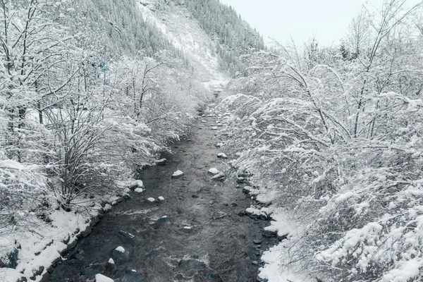 Rivière dans les montagnes d'hiver — Photo