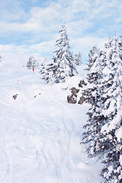 Morgon ski resort — Stockfoto