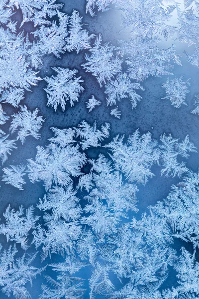 Modello invernale gelido a una finestra — Foto Stock